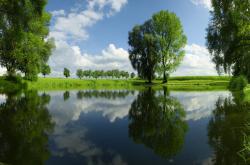 开云体育平台APP-阿坎吉一锤定音，哥伦比亚狂胜秘鲁锁定关键胜利