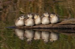 开云体育中国官网-终场哨响前的王权更迭，德布劳内一役封神，切尔西压哨击碎佛罗伦萨的全球排名野望