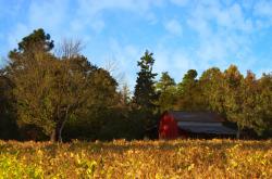 开云体育直播-安哥拉对阵厄瓜多尔，姆巴佩硬仗之王的启示