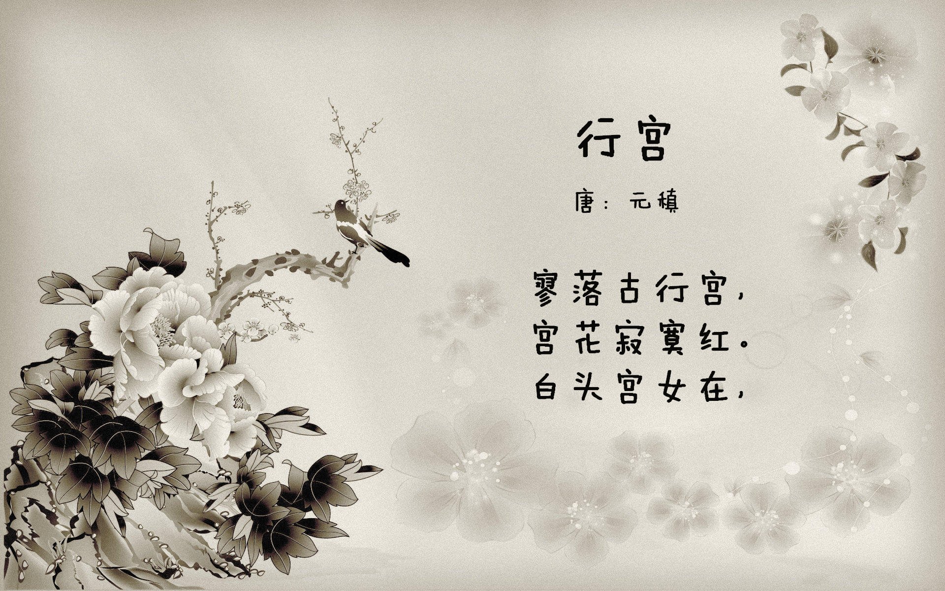 意甲焦点战之夜，爱德华兹关键制胜，谱写绿茵传奇