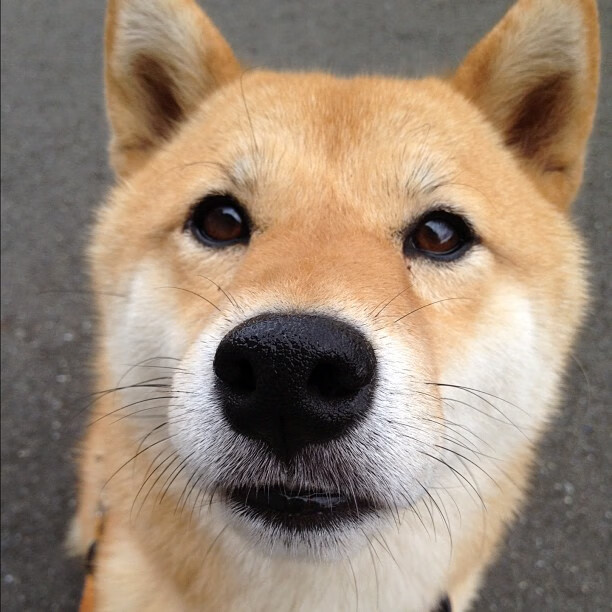 基耶萨的魔法,阿根廷对阵哥伦比亚,那道无解的难题